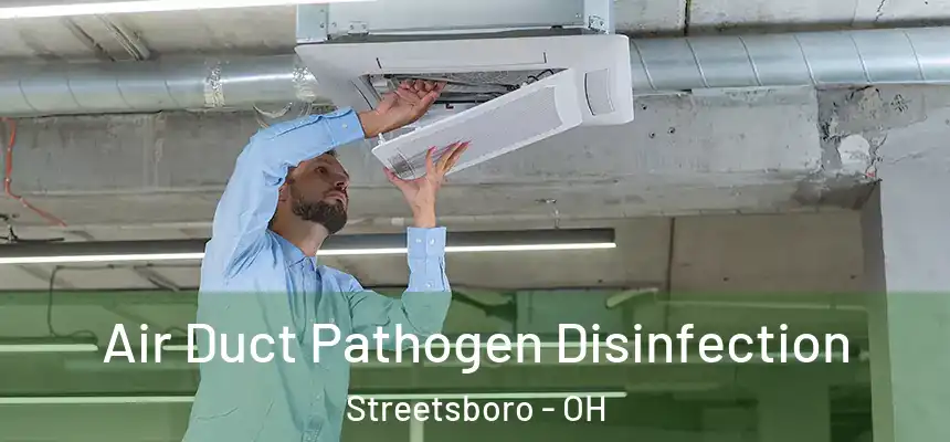  Air Duct Pathogen Disinfection Streetsboro - OH