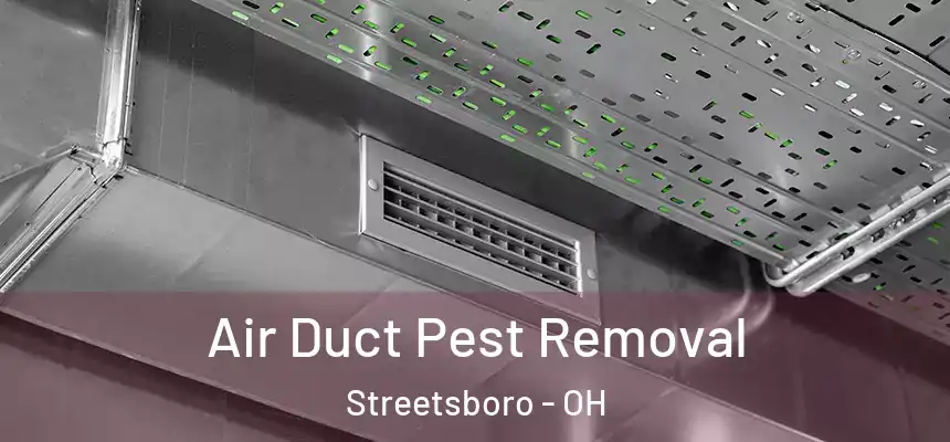 Air Duct Pest Removal Streetsboro - OH
