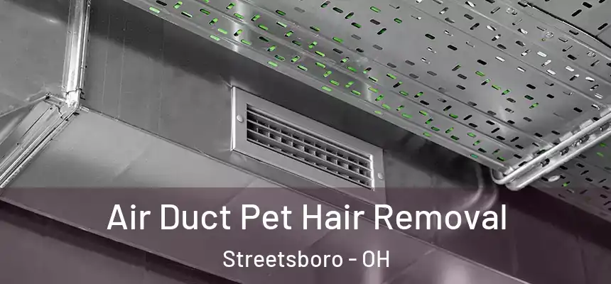  Air Duct Pet Hair Removal Streetsboro - OH