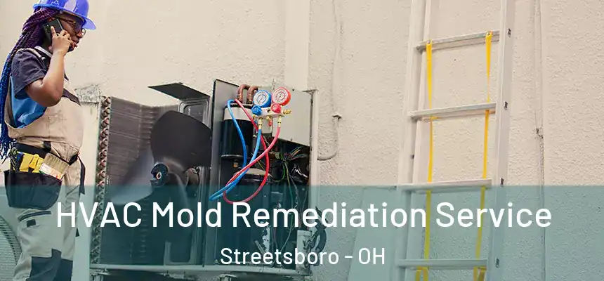 HVAC Mold Remediation Service Streetsboro - OH