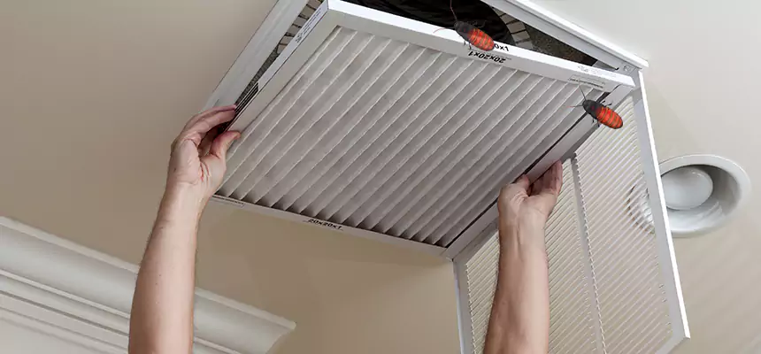 Preventive Cockroach-Proofing for Ducts in Streetsboro