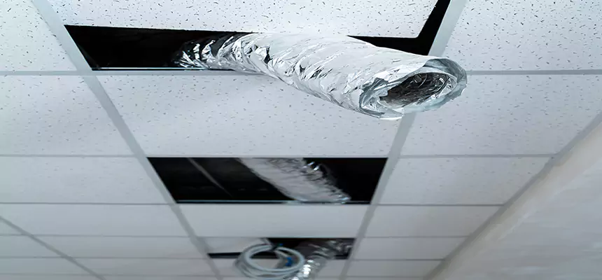 Our Air Duct Pet Hair Removal Services in Streetsboro, OH