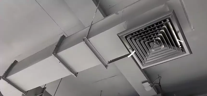 Our Pest Removal From Ducts Services in Streetsboro, OH