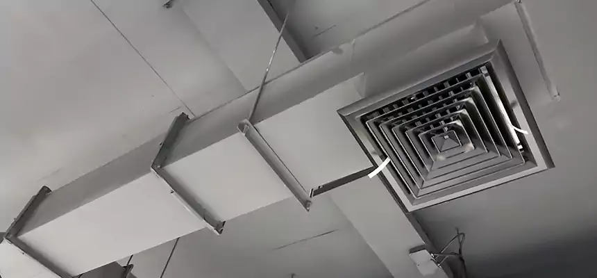 Our Rodent Droppings In Vents Services in Streetsboro, OH