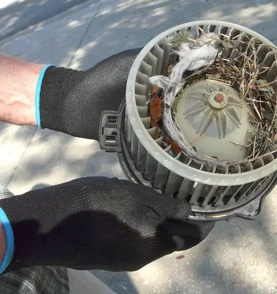 About Air Duct Rat Removal in Streetsboro, OH