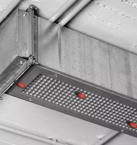 Affordable Insect Removal from Air Ducts in Streetsboro, OH