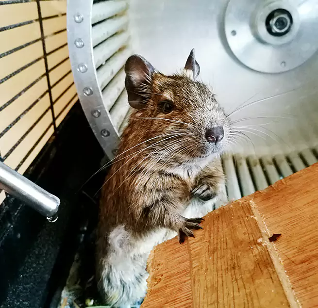 Why Homeowners & Businesses Trust Us Streetsboro, OH